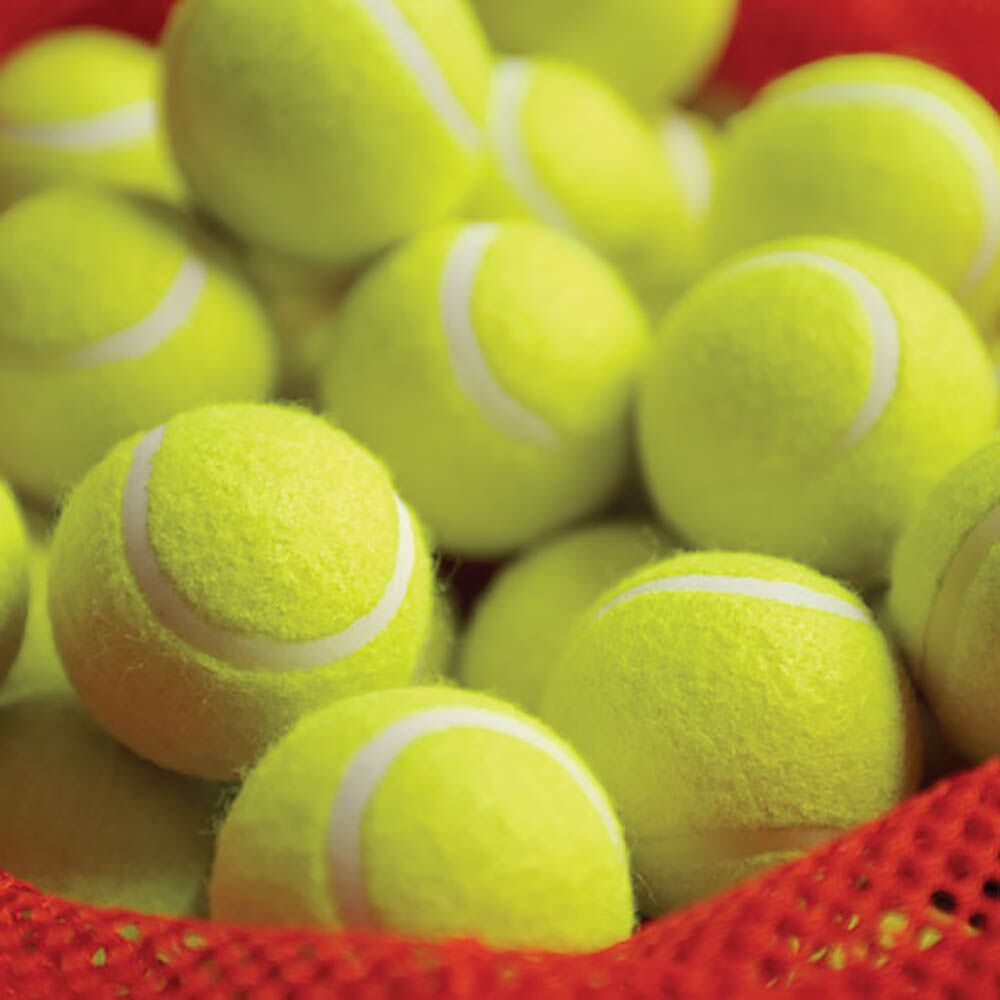 Training Quality Tennis Balls and Bag 48pk