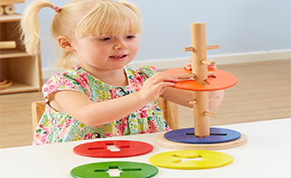 Manipulative Toys