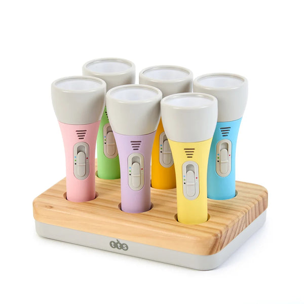 Easi-Torch 6 Pack Plus Charger