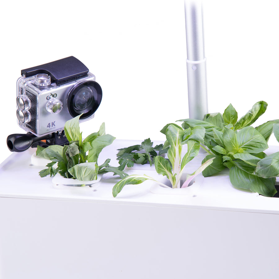 Camera Mount for Hydroponic System