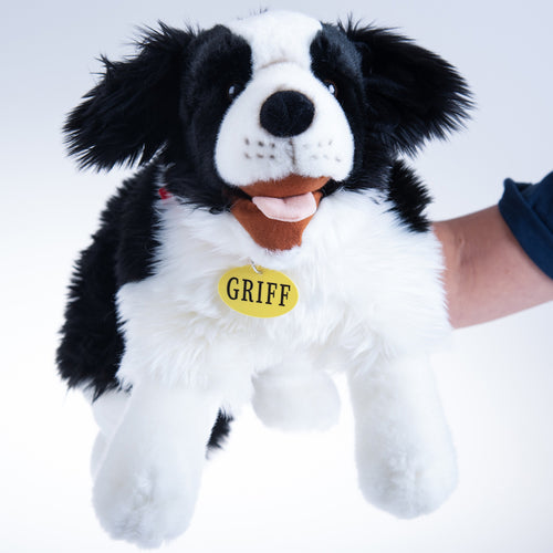 Griff the Wellbeing Dog