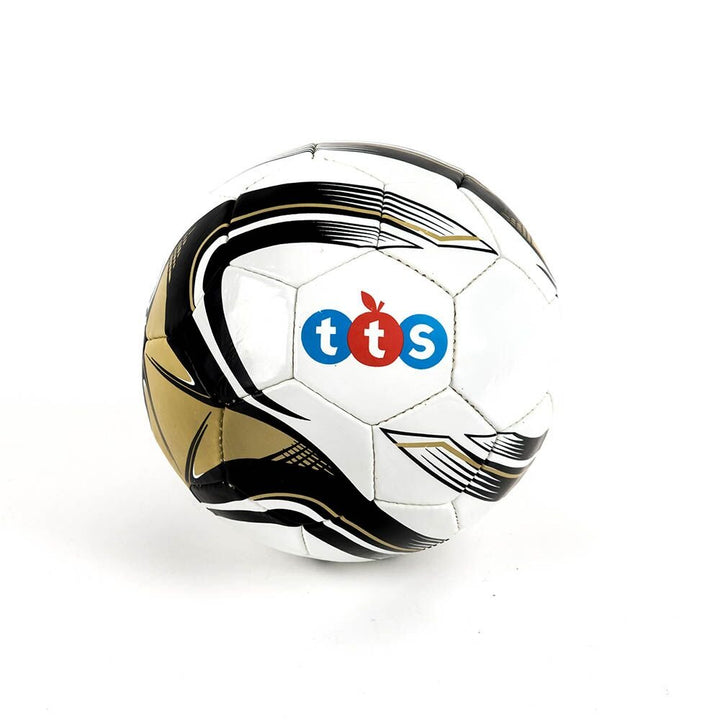 Coloured Leather Laminate Training Footballs 3pk - EASE