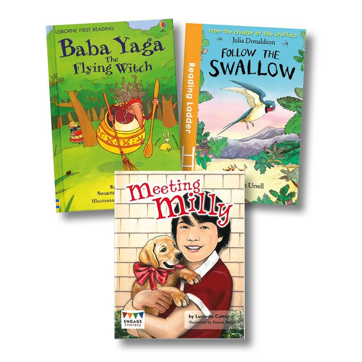 Guided Reading Pack - Purple Band - EASE