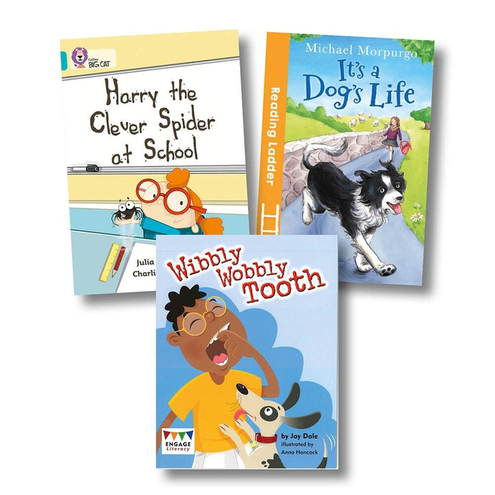 Guided Reading Pack - Turquoise Band - EASE