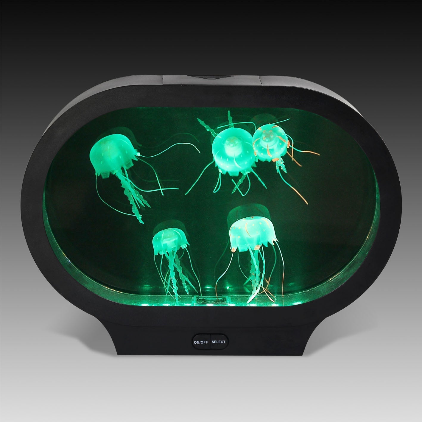 Sensory Colour Changing Light Up Jelly Fish Tank – EASE