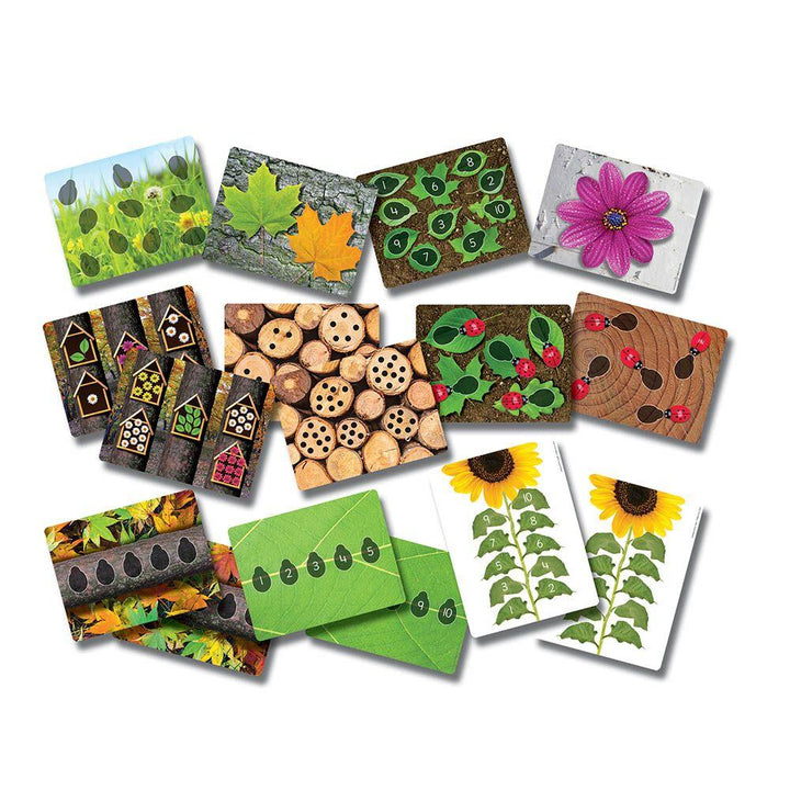 Ladybird Counters and Cards Multibuy - EASE