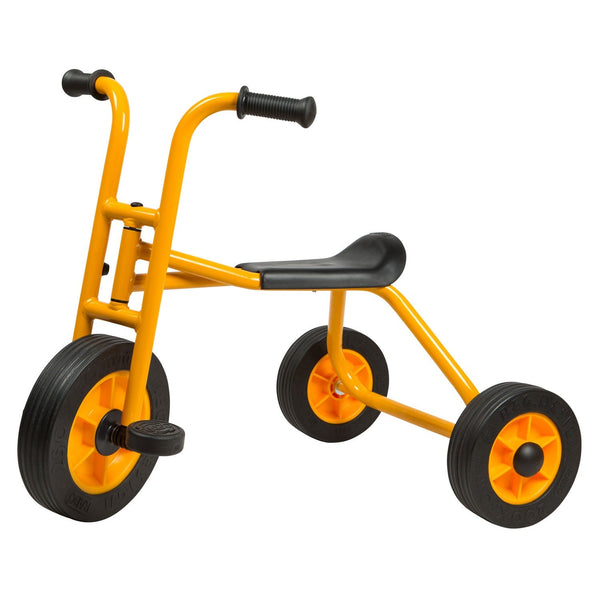 Rabo Large Trike Single - EASE