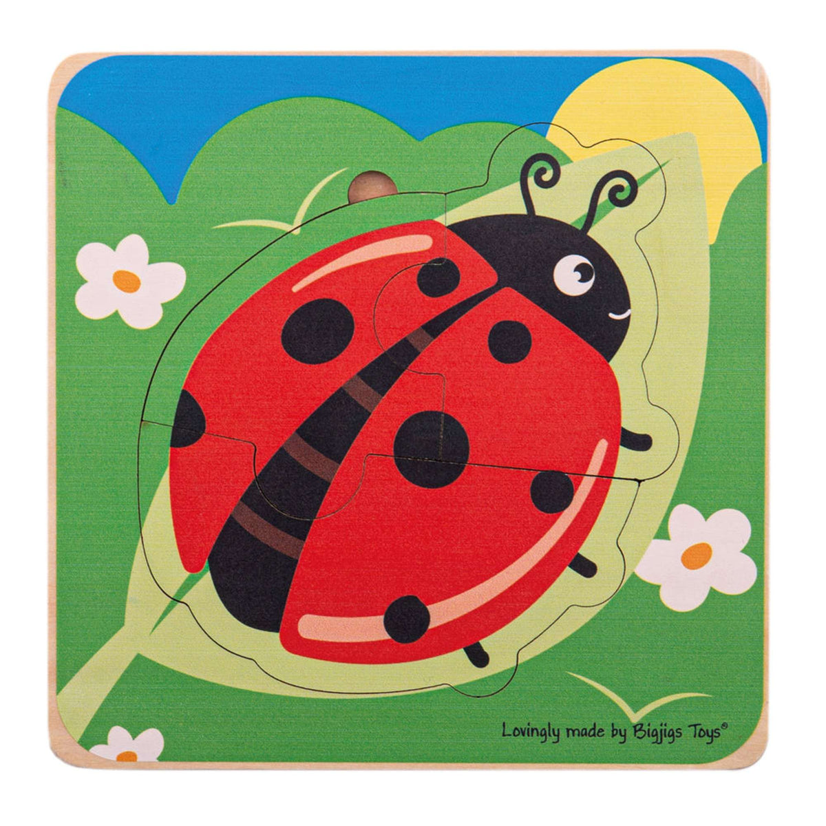 Set of 4 Lifecycle puzzles - EASE