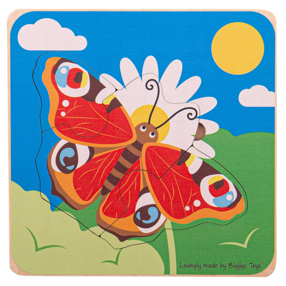 Set of 4 Lifecycle puzzles - EASE