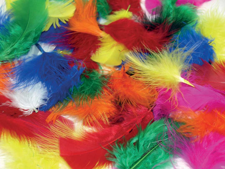 Short Feathers assoretd 250pk - EASE