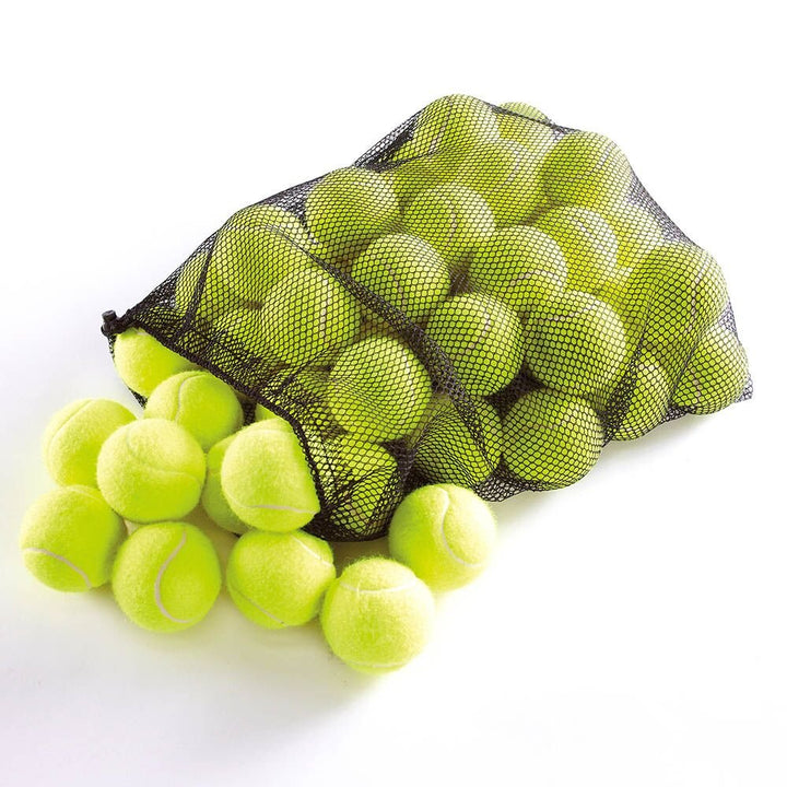 Training Quality Tennis Balls and Bag 48pk - EASE