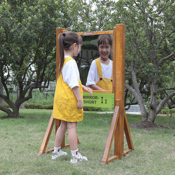 Vision Mirror Boards - Mirror Short/Tall