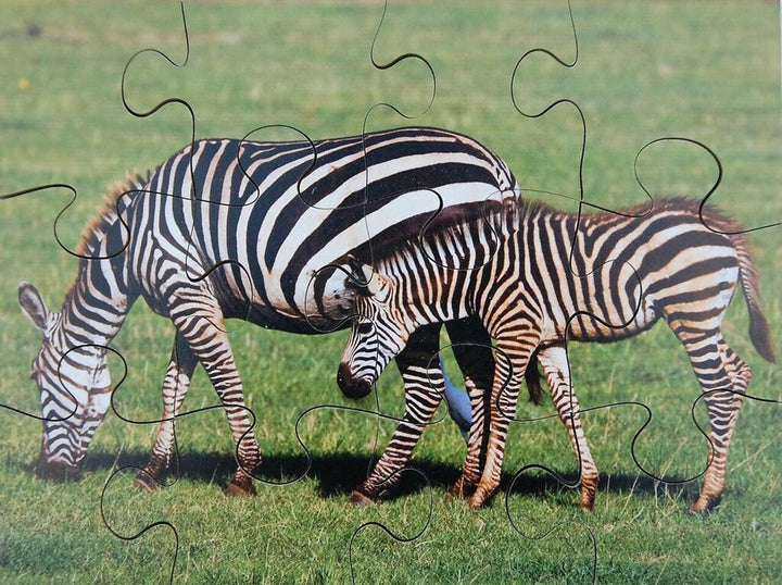 Wild Animals & their Young - EASE