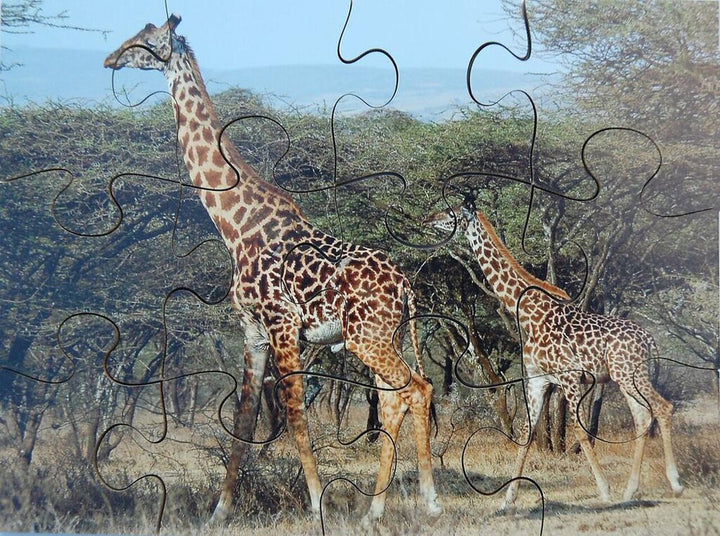 Wild Animals & their Young - EASE