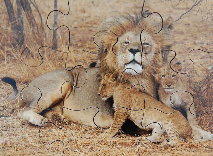 Wild Animals & their Young - EASE
