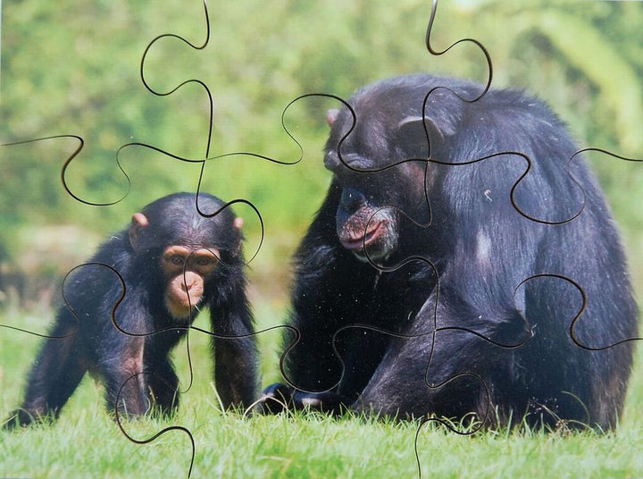 Wild Animals & their Young - EASE