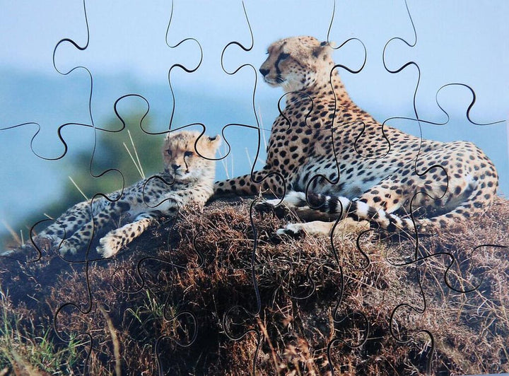 Wild Animals & their Young - EASE