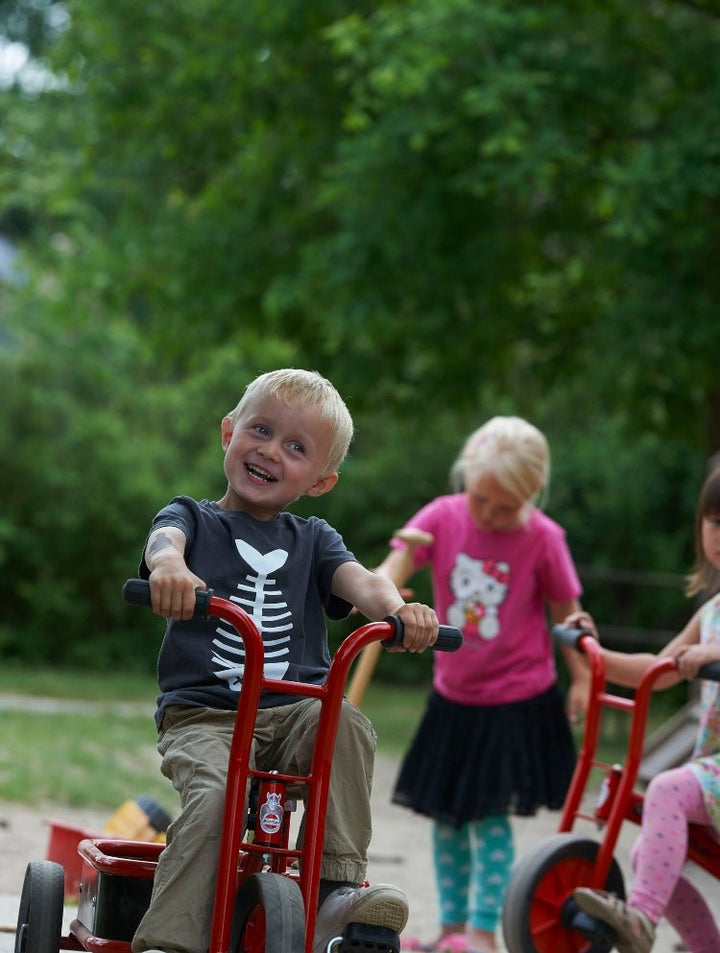 Winther Viking Trike and Truck - EASE