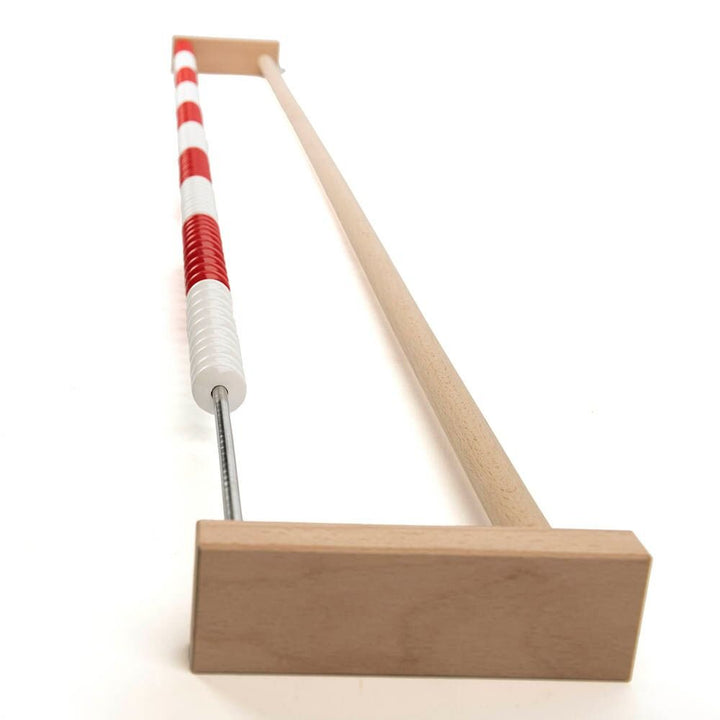 Wooden Counting Rod 0 - 100 Demonstration - EASE