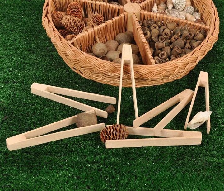 Wooden Tweezers 6 pack - EASE