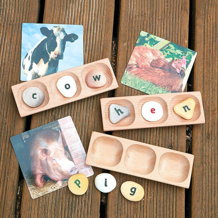 Word Building Trays 4section 6pk - EASE