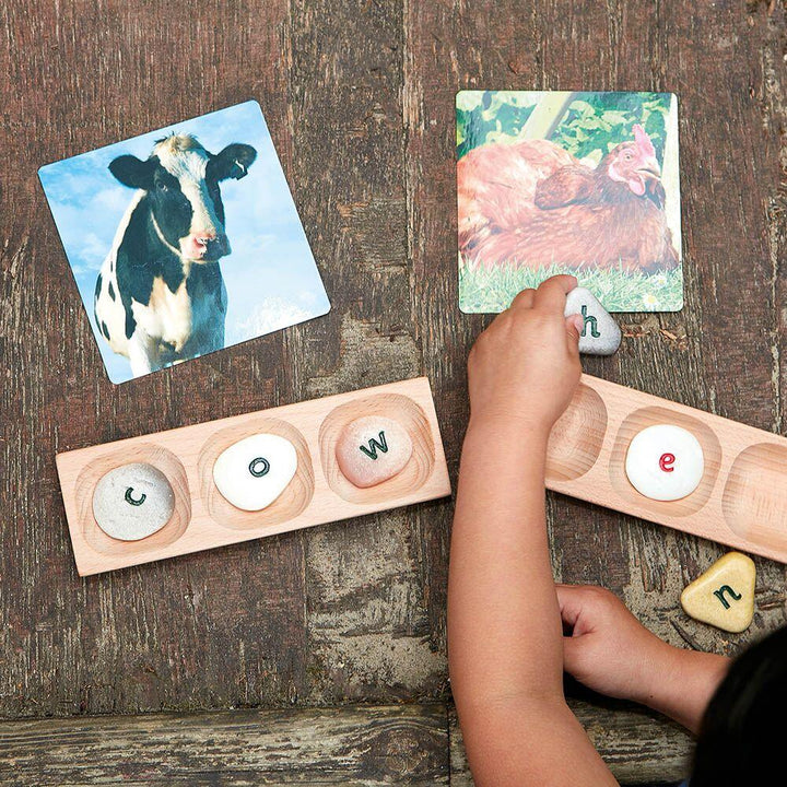 Word Building Trays 4section 6pk - EASE