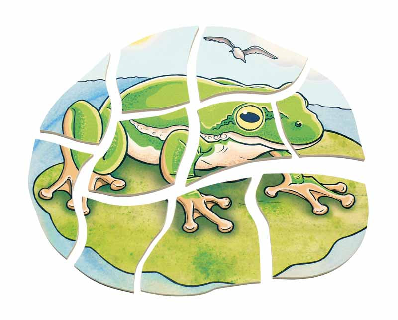 Frog Layer Puzzle - EASE
