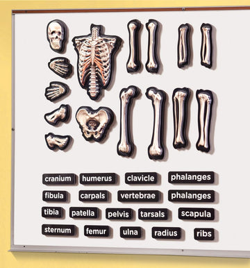 3D Magnetic Skeleton