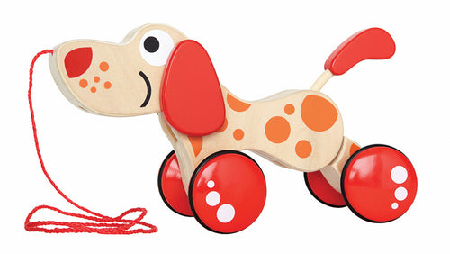 Walk-A-Long Puppy