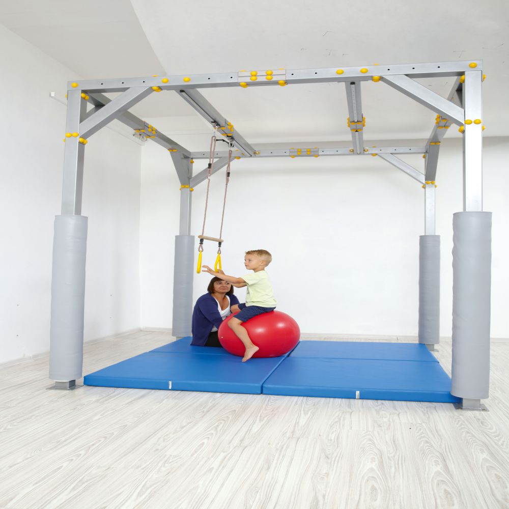 Bar Swing with Trapeze Gym Rings
