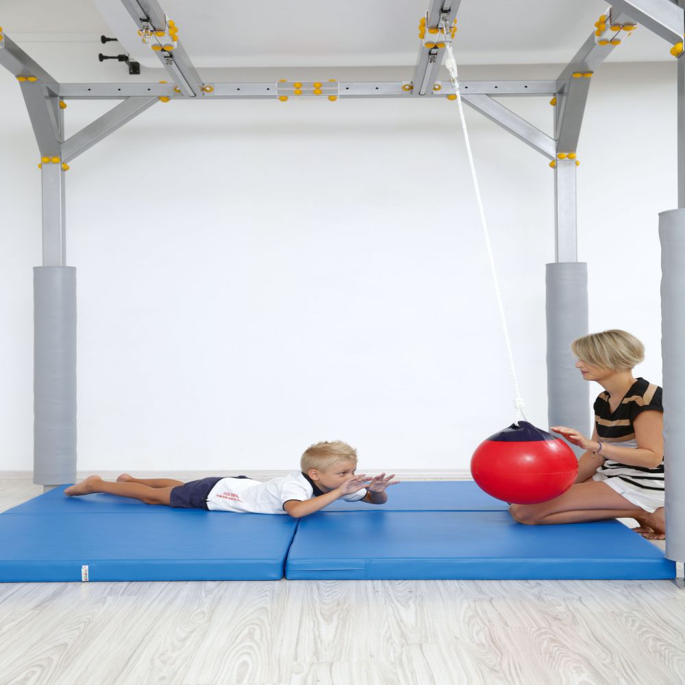 Hanging Therapy Ball