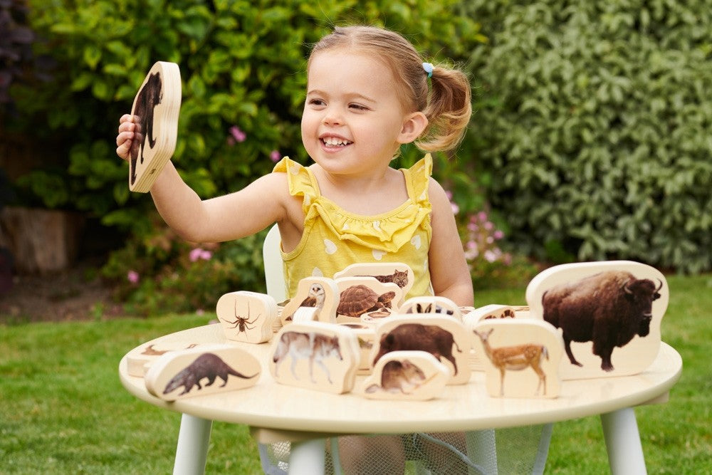 Wooden Forest Animal Blocks