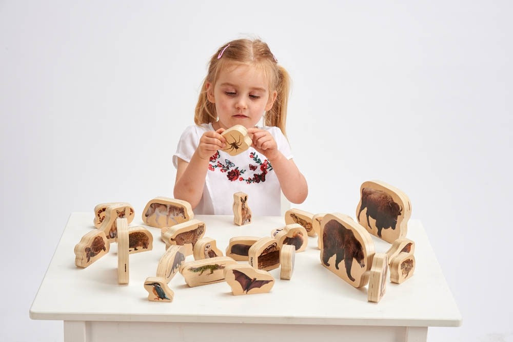 Wooden Forest Animal Blocks