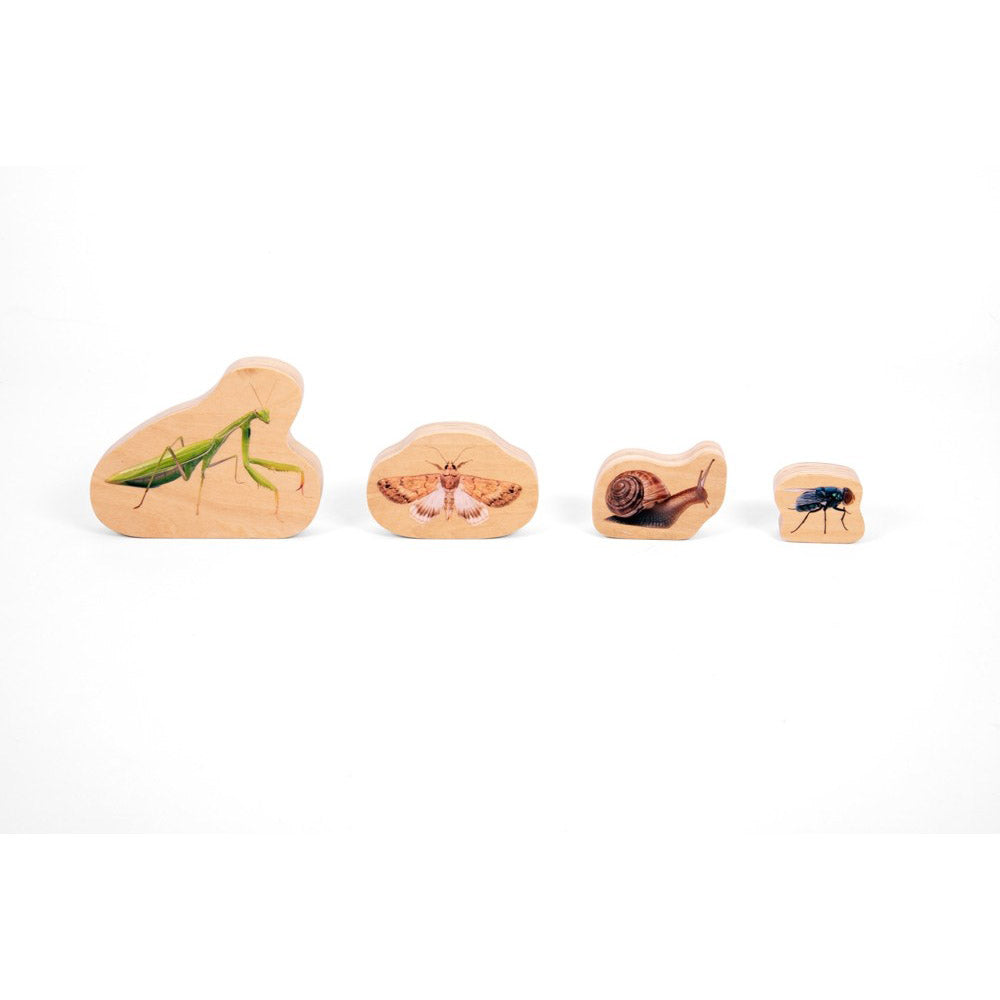 Wooden Minibeast Blocks - 33pk