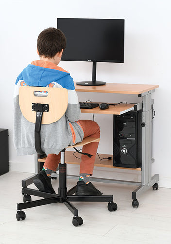 Computer Desk with Adjustable Heights