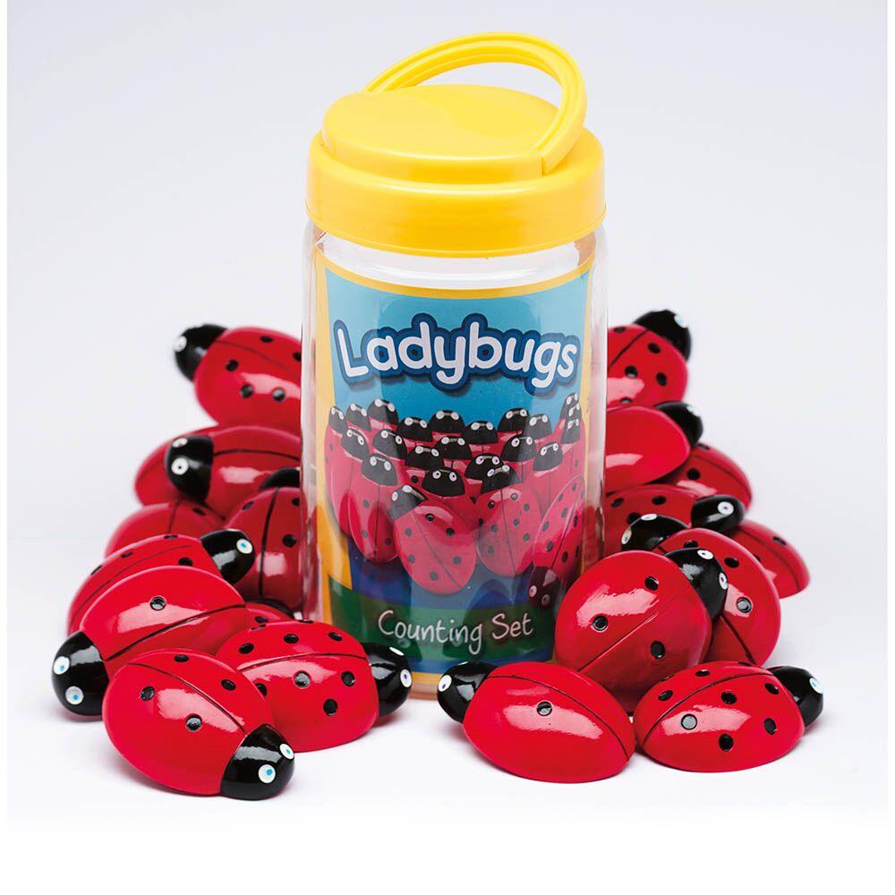 Ladybird Counters and Cards Multibuy