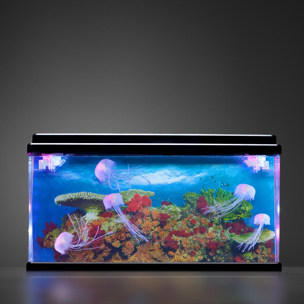 Jelly Fish Tank
